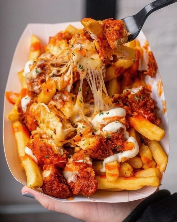 JerkChicken Fries